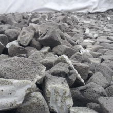 20130404_122805.jpg